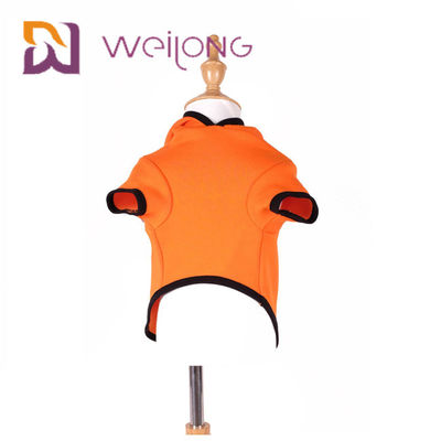 Sudadera con capucha Cat Dog Clothes del perro de Autumn Embroidery Face Halloween Pumpkin
